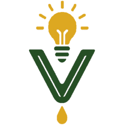 Vi Bo